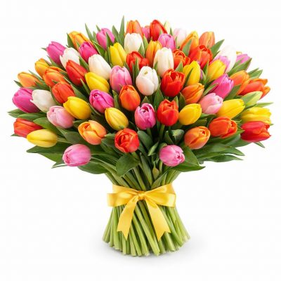 Акция! Тюльпаны 51 шт.